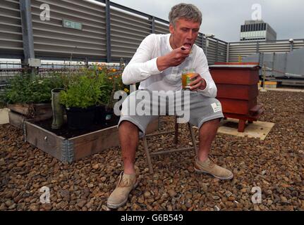 Bez fördert urban Bienen Stockfoto