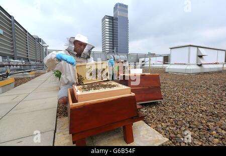 Bez fördert urban Bienen Stockfoto