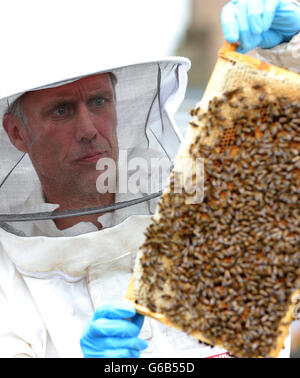 Mark Berry, alias Bez, ehemaliges Mitglied der Manchester-Band The Happy Mondays, hält während einer Fotozelle in der Druckerei im Stadtzentrum von Manchester ein Tablett mit Honigbienen. Stockfoto