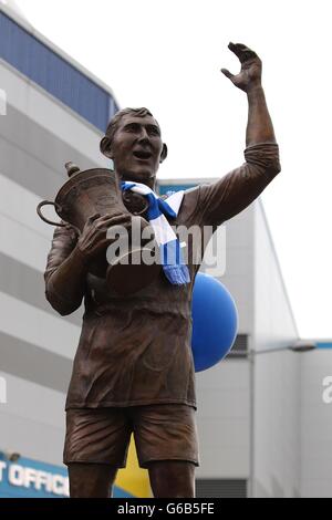 Fußball - Barclays Premier League - Cardiff City V Manchester City - Cardiff City Stadium Stockfoto