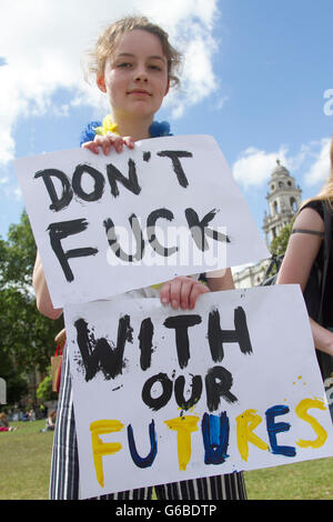 Westminster London, UK. 24. Juni 2016.  Eine kleine Gruppe von Pro bleiben Demonstranten halten Schilder und Plakate außerhalb des Parlaments gegen die EU-Referendum-Abstimmung gewählt Großbritannien verlassen der Europäischen Union Credit: Amer Ghazzal/Alamy Live-Nachrichten Stockfoto