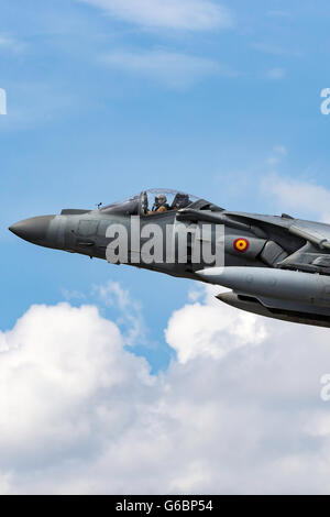 Spanische Marine (Armada Española) McDonnell Douglas EAV-8 b Harrier Jump Jet Flugzeug auf der Farnborough International Airshow Stockfoto