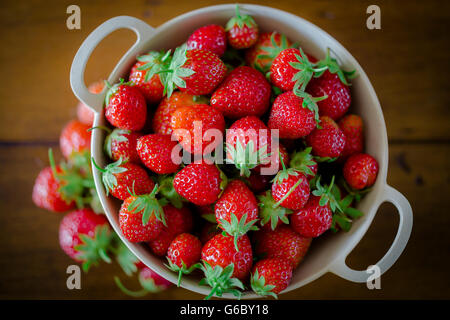 Schale mit frischen Erdbeeren Stockfoto