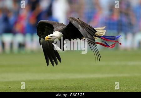 Fußball - Barclays Premier League - Crystal Palace gegen Tottenham Hotspur - Selhurst Park. Maskottchen des Crystal Palace Kayla der Adler vor dem Start Stockfoto
