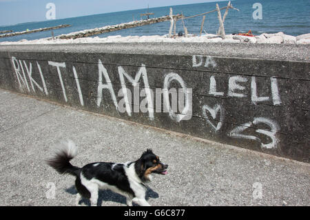 Ein Hund in der Nähe von Graffiti in Lido di Venezia, Italien Stockfoto
