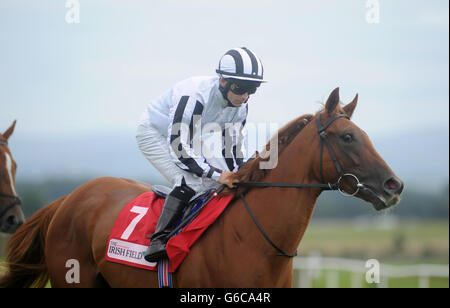 Jockey Wayne Lordan vor dem Reiten kommt Heel zum Sieg beim Irish Field Curragh Stakes Race während des Galileo Futurity Stakes Day auf der Curragh Racecourse, Co Kildare, Irland. DRÜCKEN SIE VERBANDSFOTO. Bilddatum: Samstag, 24. August 2013. Siehe PA Story RACING Curragh. Der Bildnachweis sollte lauten: Barry Cronin/PA Wire Stockfoto