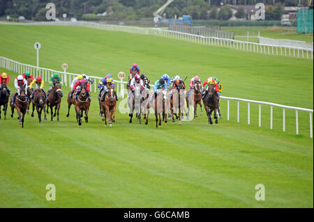 Pferderennen Sie - Galileo Futurity Stakes Day - der Curragh-Rennbahn Stockfoto