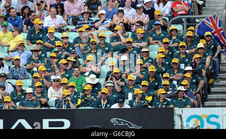 Cricket - Fünfter Investec Ashes Test - Tag fünf - England gegen Australien - das Kia Oval. Australische Anhänger schauen während des fünften Tages des fünften Investec Ashes Test-Spiels im Kia Oval, London, nach. Stockfoto