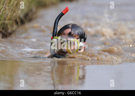 Bog Schnorcheln WM 2013 Stockfoto