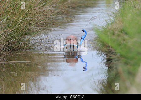 Bog Schnorcheln WM 2013 Stockfoto