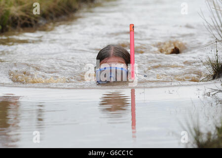 Bog Schnorcheln WM 2013 Stockfoto