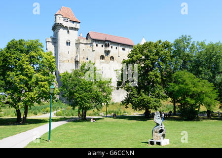 Burg Liechtenstein, Maria Enzersdorf, Österreich, Niederösterreich, Niederösterreich, Wienerwald, Wienerwald Stockfoto