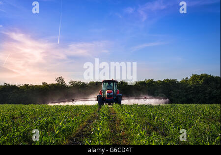 Varna, Bulgarien - 10. Juni 2016: Kubota Traktor im Feld. Kubota Corporation ist ein japanischer Baumaschinen-Hersteller mit einem Stockfoto