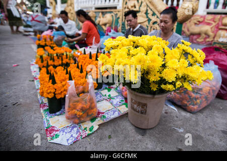 Boun, die Luang ist eine jährliche buddhistische Festival an der goldenen Stupa in Vientiane, Laos (, die Luang). Stockfoto