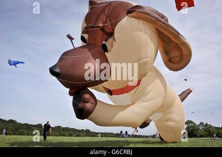 S größte Kite-Events und sieht Teams und Drachenflieger aller Nationalitäten an dem zweitägigen Festival teilnehmen. Stockfoto