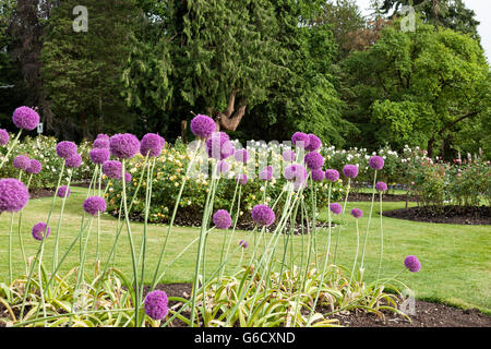 Der Stanley Park Pavillon, Vancouver zeigt die erstaunliche floral Stockfoto