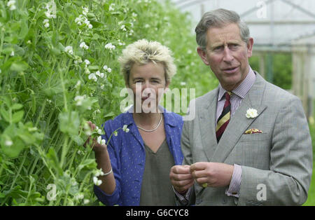 Prince Of Wales - Abtei Home Farm Stockfoto