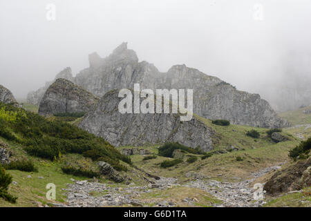 Steinen und Felsen im Nebel am Berghang des Ciemniak Berges im Tatra-Gebirge in der Nähe von Zakopane in Polen. Stockfoto