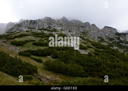 Steinen und Felsen im Nebel am Berghang des Ciemniak Berges im Tatra-Gebirge in der Nähe von Zakopane in Polen. Stockfoto