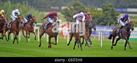 Horse Racing - Red Mills irische Champions Stakes Day - Leopardstown Racecourse Stockfoto