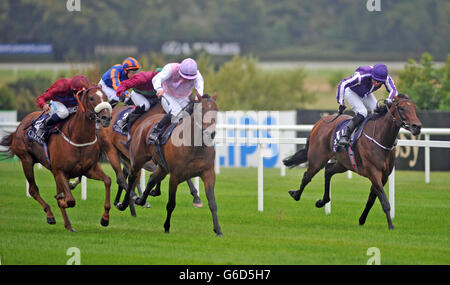 Horse Racing - Red Mills irische Champions Stakes Day - Leopardstown Racecourse Stockfoto