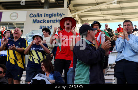 Glamorgan-Fans feiern das Dickicht von Hampshire's Sean Ervine während des Halbfinalmatches der Clydesdale Bank Pro40 im Ageas Bowl in Southampton. Stockfoto