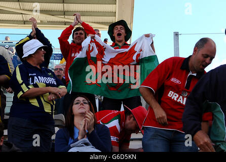 Glamorgan-Fans feiern das Dickicht von Hampshire's Sean Ervine während des Halbfinalmatches der Clydesdale Bank Pro40 im Ageas Bowl in Southampton. Stockfoto