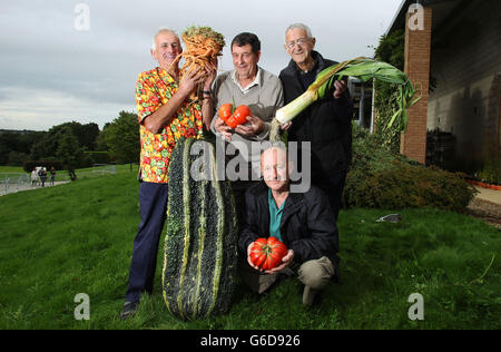 Ian Neale aus Newport, Cardiff, Graham Tanter und Graham Walford, beide Bridgenorth, Shropshire und Joe Atherton aus Mansfield (Frontkneeling) mit ihren preisgekrönten Gemüsesorten zu Beginn der Herbstblumenschau im Great Yorkshire Showground. Stockfoto