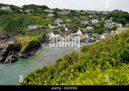 Die Fischerei Dorf Cadgwith auf der Lizard Halbinsel Cornwall England UK Stockfoto