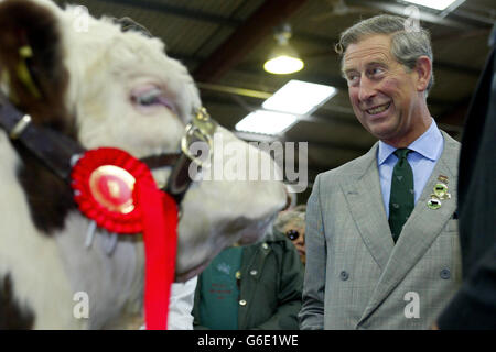 Der Prinz von Wales trifft auf Victorious, einen preisgekrönten Bullen, bei einem Besuch der South of England Show in Ardingly, West Sussex, dem größten seiner Art in Südengland. * Der Prinz War Selbst Ein begeisterter Bauer und verbrachte heute Nachmittag rund drei Stunden damit, die Landwirtschaftsmesse zu besichtigen, zu der die Rinder-, Schaf- und Schweinepalette, das Federzelt, lokale Weine und Erzeugnisse, der Young Farmers Club und die Aussteller des Agrarhandels gehören. 30/06/2004: Der Prinz von Wales besucht am Mittwoch, den 30. Juni 2004 die Royal Norfolk Show in Norwich, wo er seltene Schaf- und Rinderrassen sehen wird, Stockfoto