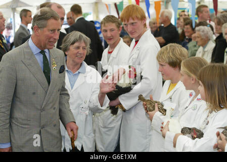 Der Prinz von Wales trifft junge Bauern bei einem Besuch der South of England Show in Ardingly, West Sussex, der größten ihrer Art in Südengland. Der Prinz war selbst ein begeisterter Bauer und verbrachte etwa drei Stunden damit, die landwirtschaftliche Show zu besichtigen. * ... die Rinder, Schafe und Schweine Bereiche, die Feder Festzelt, lokale Wein und Produkte, der Young Farmers Club und landwirtschaftlichen Fachaussteller umfasst. Stockfoto