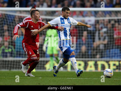 Nottingham Forest Radoslaw Majewski (links) fordert Brightons Jake Forster-Caskey heraus Stockfoto