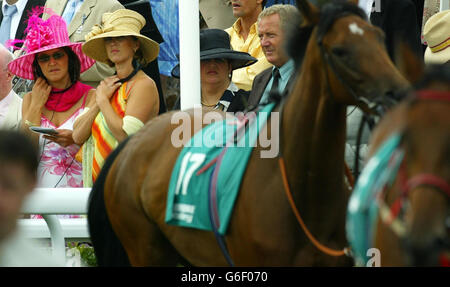 Rennfahrer schauen sich die Form der Pferde im Paradering am Ladies Day auf der Goodwood-Rennbahn in der Nähe von Chichester, West Sussex, an. Stockfoto