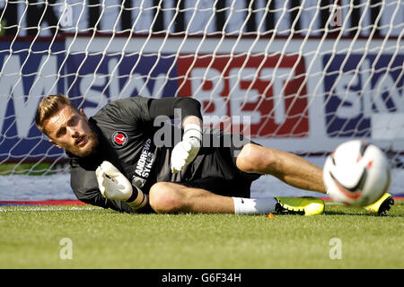 Fußball - Skybet Championship - Burnley / Charlton Athletic - Turf Moor. Ben Hamer, Charlton Athletic Torwart Stockfoto