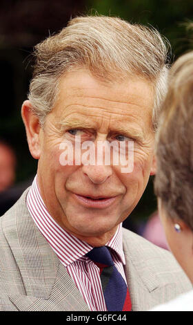 Der Prinz von Wales spricht mit Mitgliedern der Öffentlichkeit vor dem White Hart Pub im Dorf Llanddarog, Carmarthenshire, West Wales der Prinz verbrachte den Tag in der Gegend im Rahmen einer viertägigen Tour durch Wales, in der er das Land besucht und Tausende von Einheimischen trifft. Stockfoto