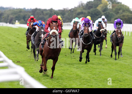 Horse Racing - 7. Ascot CAMRA Bier Festival Meeting - Tag zwei - Ascot Racecourse Stockfoto