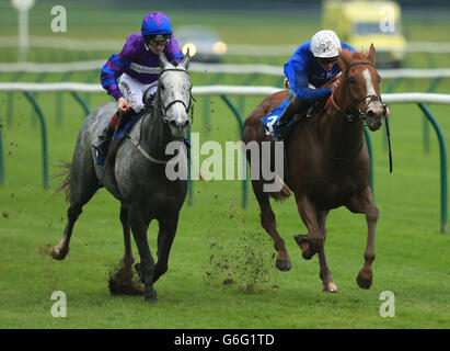 Tahaamah (rechts) mit James Doyle schlägt Las Verglas Star mit George Chaloner, um beim Bau- und Industrierenntag auf der Rennbahn von Nottingham die Fortinet Gold Partner Handicap Stakes zu gewinnen. DRÜCKEN SIE VERBANDSFOTO. Bilddatum: Mittwoch, 16. Oktober 2013. Siehe PA Story RACING Nottingham. Bildnachweis sollte lauten: Mike Egerton/PA Wire Stockfoto