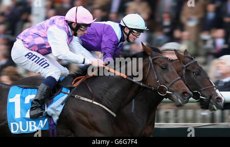 Pferderennen Sie - Dubai zukünftige Champions Day - Newmarket Racecourse Stockfoto