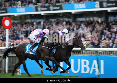 Pferderennen Sie - Dubai zukünftige Champions Day - Newmarket Racecourse Stockfoto