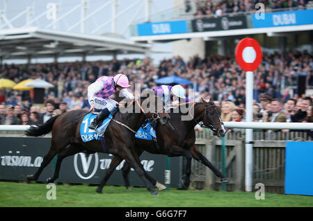 Pferderennen Sie - Dubai zukünftige Champions Day - Newmarket Racecourse Stockfoto