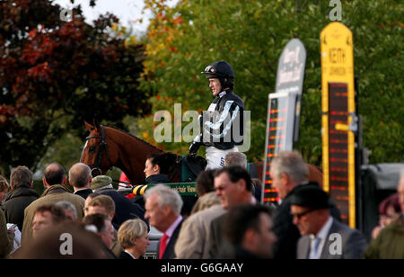 Jockey Tony McCoy auf Hawaii Five Nil in der Parade Ring vor dem Jack Dee hier am 31. Oktober Maiden Hürde während des ersten Tages des Showcase Meeting auf Cheltenham Racecourse, Cheltenham. Stockfoto