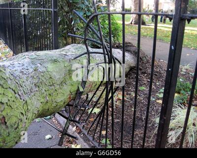 Ein gefallener Baum auf dem St. George's Square, Pimlico, London, da mehr als 40,000 Häuser ohne Strom sind und Pendler mit schweren Reiseunterbrechungen konfrontiert sind, nachdem der schlimmste Sturm seit Jahren Großbritannien heimgeplechtert hat. Stockfoto