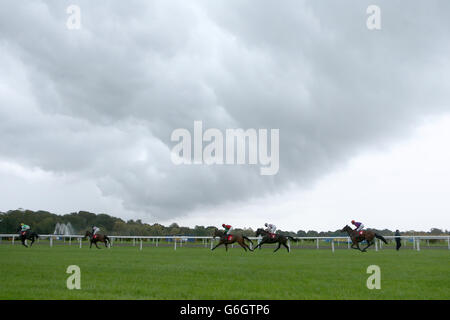 Pferderennen - William Hill Jump Sunday - Kempton Park Racecourse. Läufer und Fahrer Rennen unter einer dunklen Wolke auf dem William Hill - im App Store Beginners' Chase Stockfoto