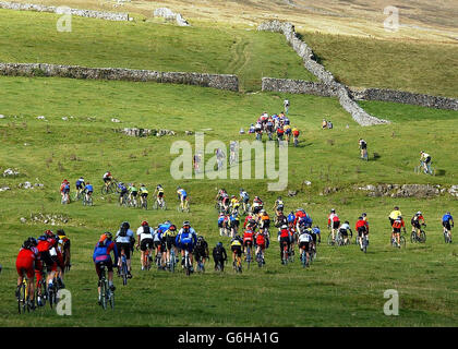 Mehr als 300 Radfahrer nehmen beim Three Peaks Cyclo Cross Race an der Steigung von Ingleborough Teil. Es gilt als das härteste Cyclocross-Event der Welt und führt die Fahrer über den Gipfel der drei Yorkshire Dales-Gipfel Ingleborough, Whernside und Pen y Ghent mit einer Gesamtlänge von 61 Kilometern. Stockfoto