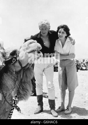 Peter O'Toole und seine Frau Sian Phillips posieren mit einem Kamel in Jordanien, wo die Dreharbeiten für Lawrence von Arabien stattfinden. Stockfoto