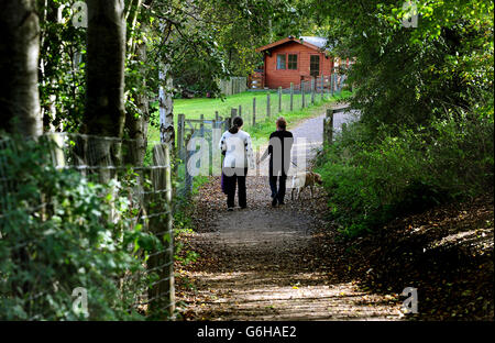 Leute laufen im Pooley Country Park, Warwickshire. Stockfoto