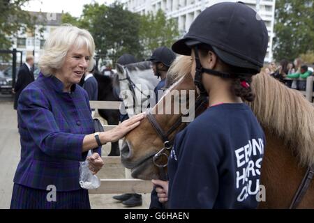 Königlicher Besuch in Ebenholz Horse Club Stockfoto