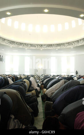 Gläubige beobachten das Gebet im Hauptraum der Baitul Futuh Moschee in Morden, South London. Die größte Moschee Westeuropas hat heute bis zu 10,000 Gläubige empfangen, die an einer besonderen Einweihungszeremonie teilnehmen. Die Moschee wurde von den britischen Ahmadiyya-Muslimen erbaut, die vor fast 80 Jahren Londons erste Moschee eröffneten. Stockfoto