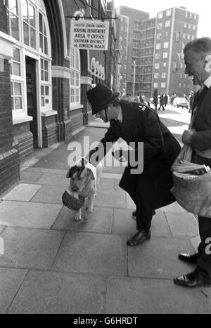 News - Bombe Plot Trial - Sandy die Labrador von Sicherheit in Lambeth Magistrates' Court - London gesucht wird Stockfoto