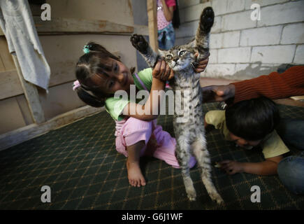 Der syrische Flüchtling Maha spielt mit einer Katze in einem provisorischen Flüchtlingsheim in Nakhle, Libanon, da der Bildungsbedarf für Flüchtlinge hoch ist, da nur 30% der syrischen Kinder im öffentlichen Bildungssektor betreut werden. Stockfoto